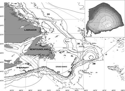 Frontiers | Atlantic Cod Growth History in Flemish Cap Between